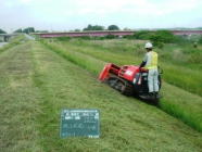 那珂川河川維持工事 堤防法面部の除草状況
