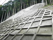 法面保護工事 法枠工及びコンクリート吹替工